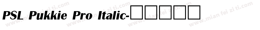 PSL Pukkie Pro Italic字体转换